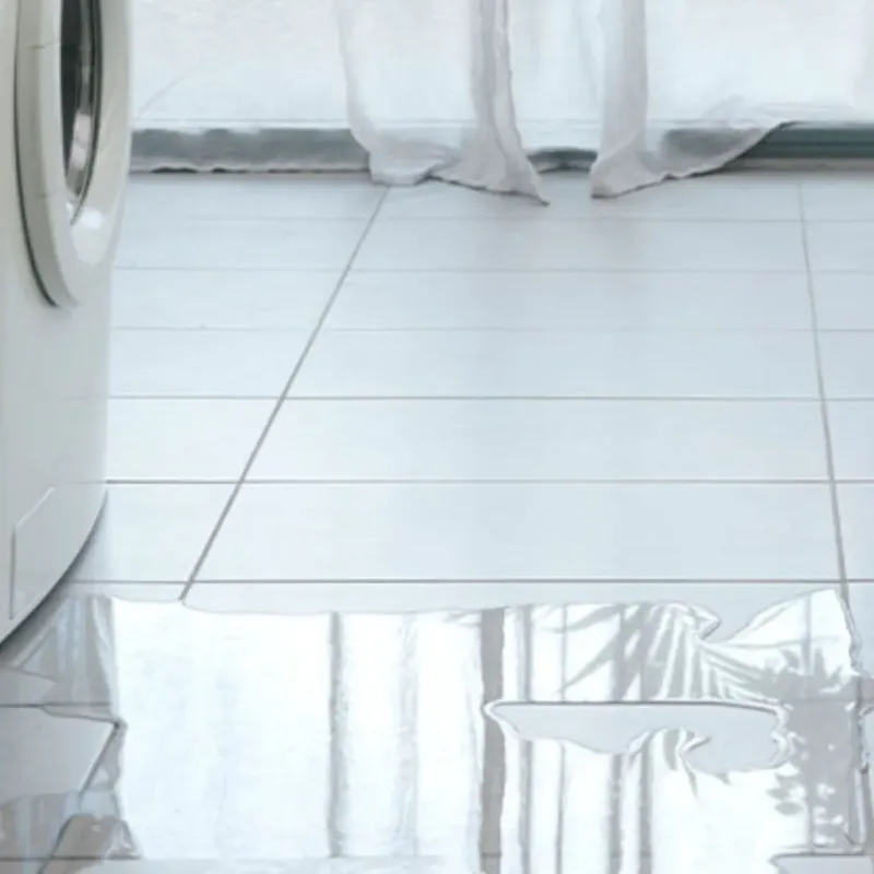 Appliance Leak Cleanup in Scenic Oaks, TX