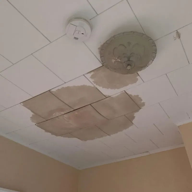 Ceiling Water Damage Repair in Scenic Oaks, TX