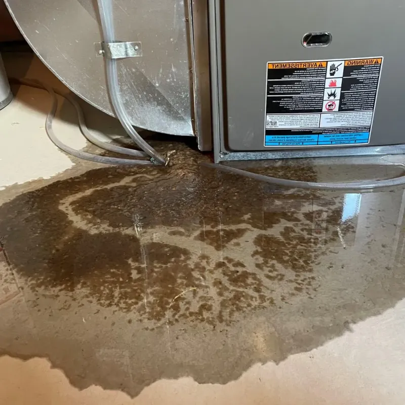 Pipe Burst and Leak Restoration in Scenic Oaks, TX