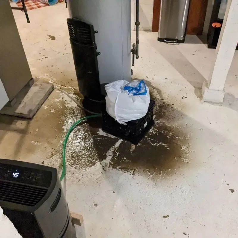 Sewage Backup Cleanup Service in Scenic Oaks, TX